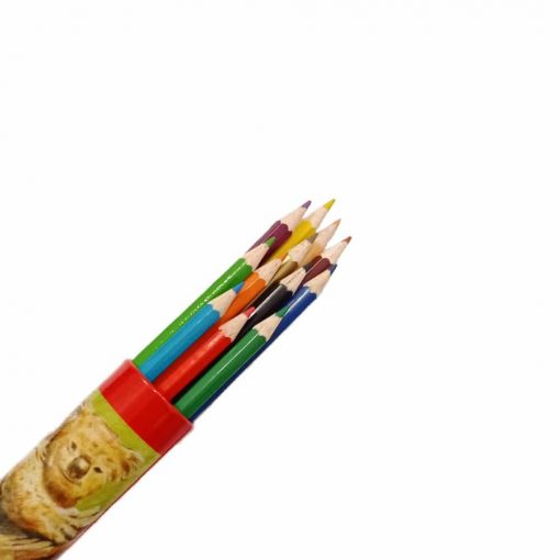 مداد رنگی 12 رنگ فکتیس لوله ای